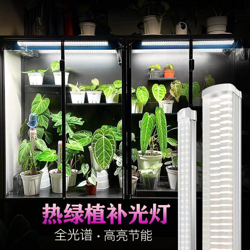 植物防水补光灯热植绿植仿太阳全光谱户外室内多肉块根专用生长灯,家装灯饰光源,植物生长灯,淘宝优惠券,粉丝福利购,淘宝优惠卷