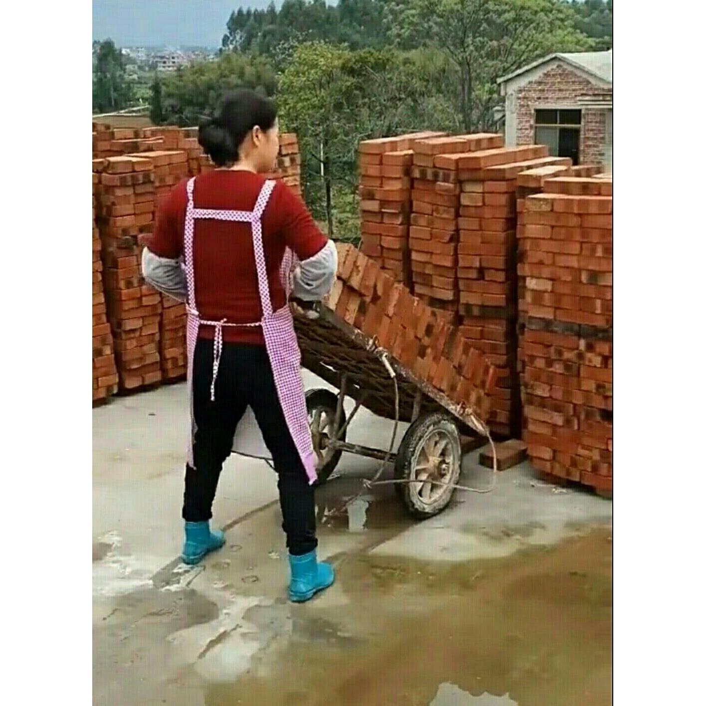 红砖农用手推车老虎车两轮手推车运货拉货车工具搬运车加重拉车
