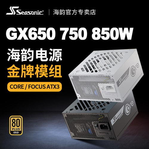 海韵COREGX750WATX3电脑电源
