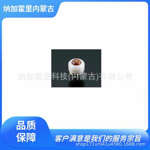 ATEC 爱泰克 无尘室用万向球滚珠 PVPB20BJ-JJ PVPB20BU-JJ