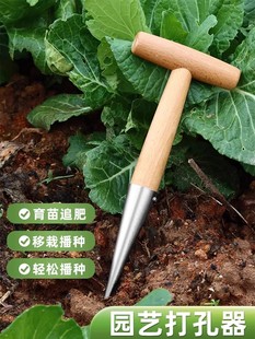 播种打洞器移苗追肥种菜不锈钢育苗菜籽多肉工具播籽花园种苗神器