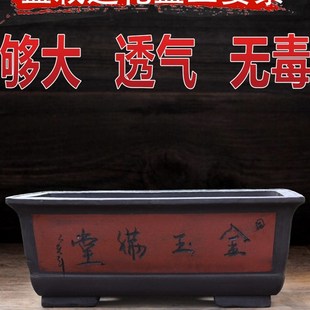 长方形花盆家用陶瓷阳台种菜盆特大D号超大四方紫砂罗汉松盆景花