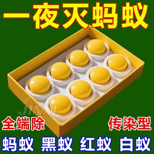 蚂蚁克星 强效蚂蚁药全窝端家用非无毒厨房室内饭店灭蚁方便贴