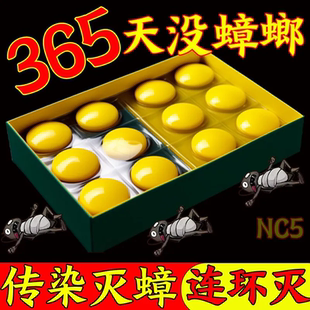 蟑螂药全窝端家用无毒强效第一名杀灭除小强克星神器孕妇婴儿 正品