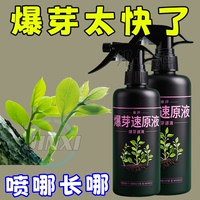 植物爆芽素優(yōu)芽素通用型營(yíng)養(yǎng)液多肉三角梅促芽催芽爆芽葉插葉面肥