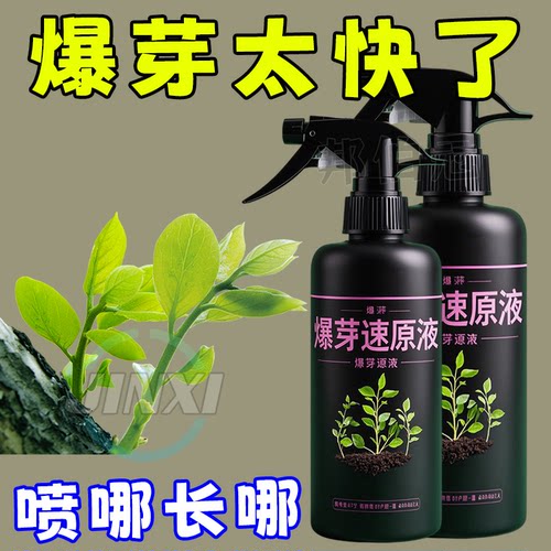 植物爆芽素优芽素通用型营养液多肉三角梅促芽催芽爆芽叶插叶面肥