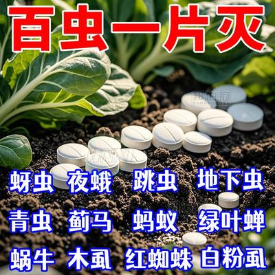 园艺防虫片糖化硼肥片花卉杀虫片小黑飞蚜虫蓟马白粉虱防烂根防害