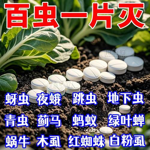园艺防虫片糖化硼肥片花卉杀虫片小黑飞蚜虫蓟马白粉虱防烂根防害