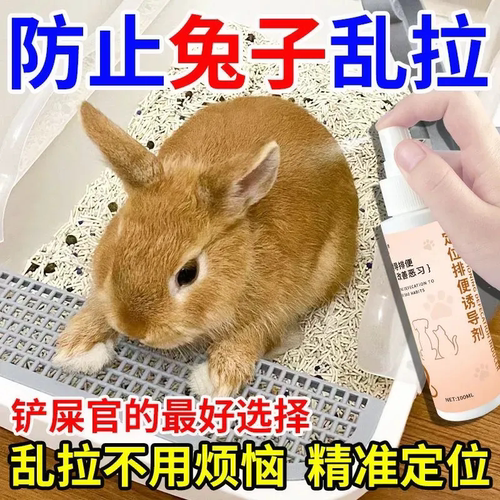 从小学会上厕所【定点排便诱导剂