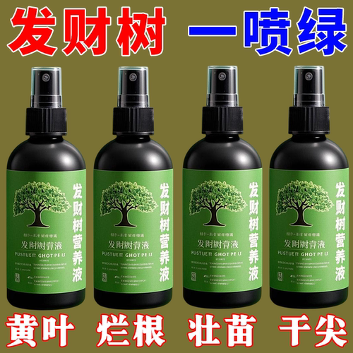 发财树营养液-防枯叶+烂根+卷叶