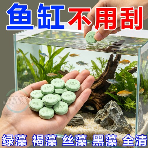 鱼缸除藻片去青苔绿水褐藻