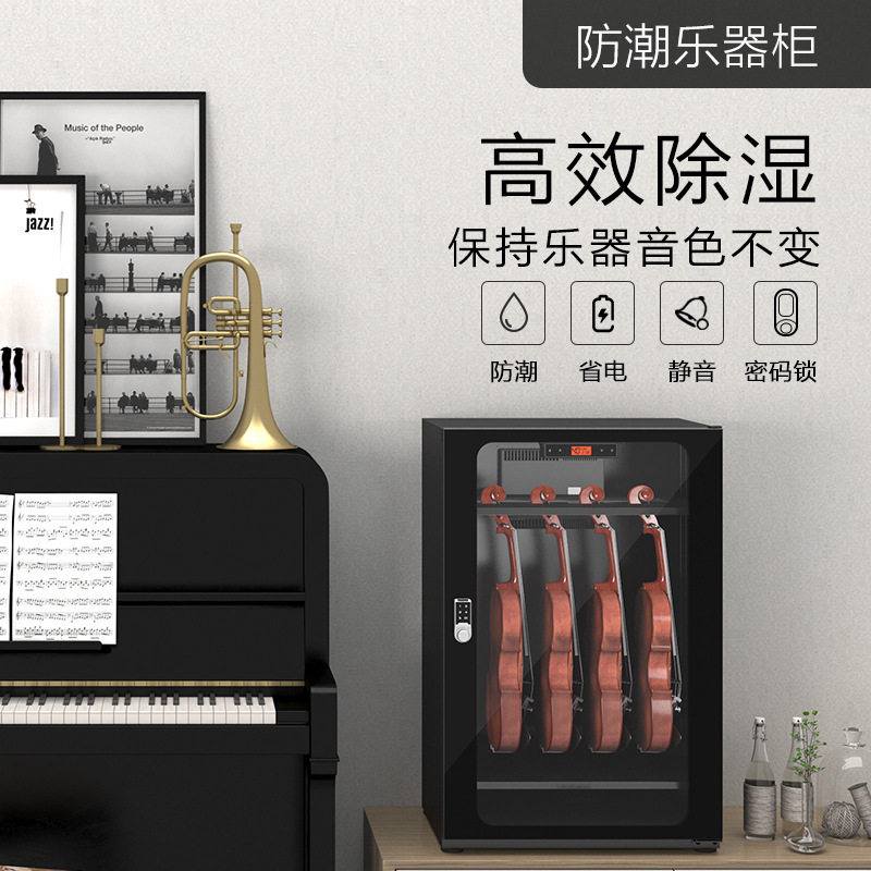 领顿小提琴防潮除湿柜密码锁