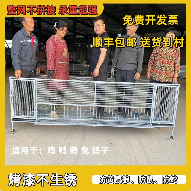 鸡笼家用室内大号铁丝网防黄鼠狼老鼠室外不锈钢兔鹅鸭鸽子养殖笼