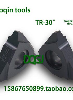 30°垂直内外t形螺纹叶片16 22 27Ver Vnr 4.0 5.0 6.0 8.0Tr