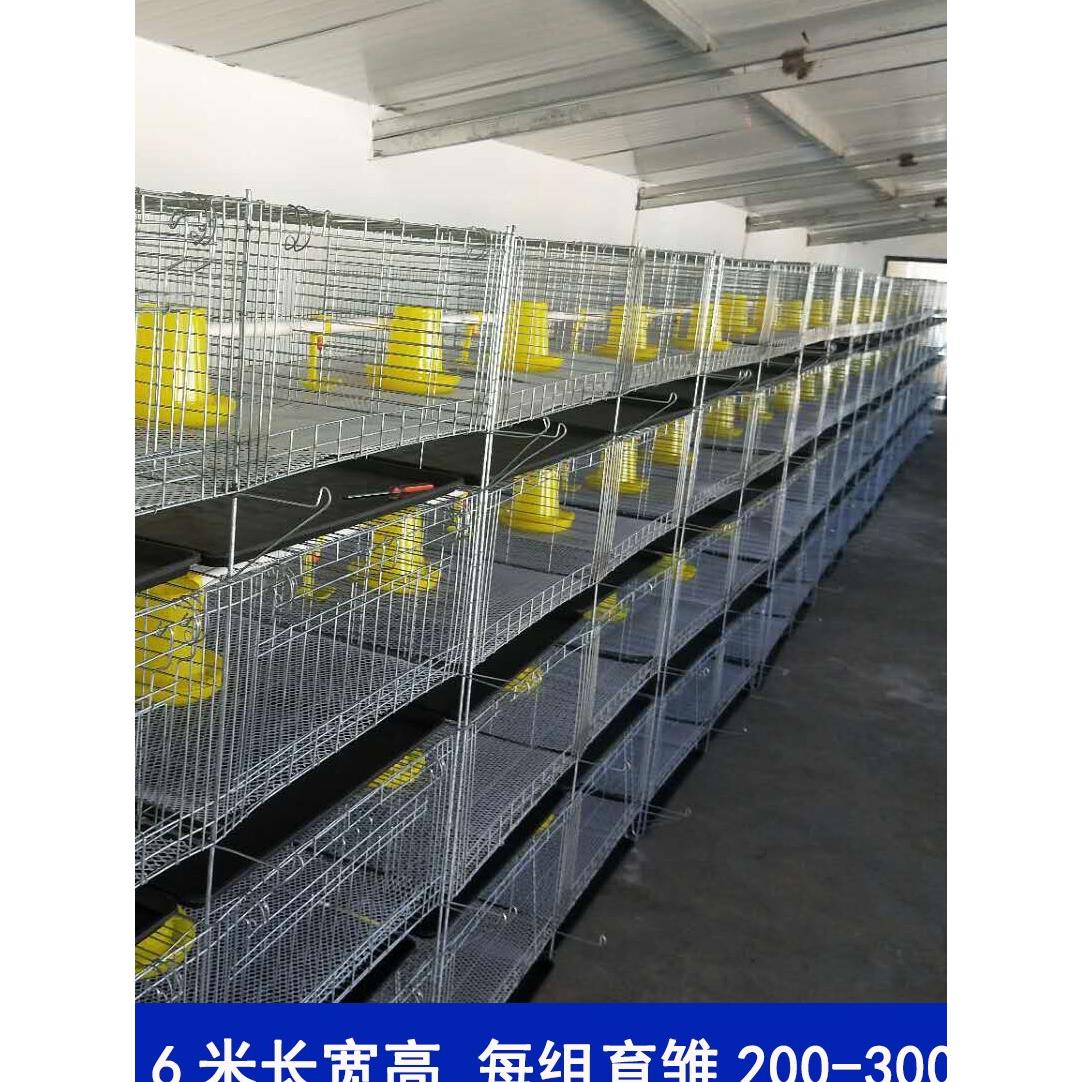 供应加粗加密小鸡笼子养殖育雏笼立体式四层脱温鸡苗肉鸡笼厂设备