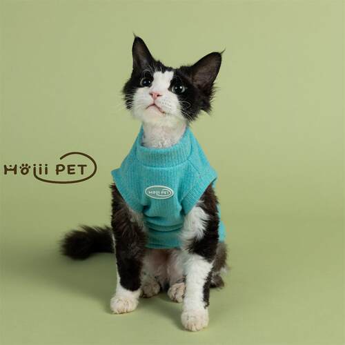 HOiii PET纯色毛衣背心德文猫衣服加厚无毛猫衣服保暖好穿可爱冬