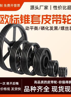SPB双水槽B型SPB-02 欧标锥套皮带轮 spa b c z三角皮带盘铸铁定