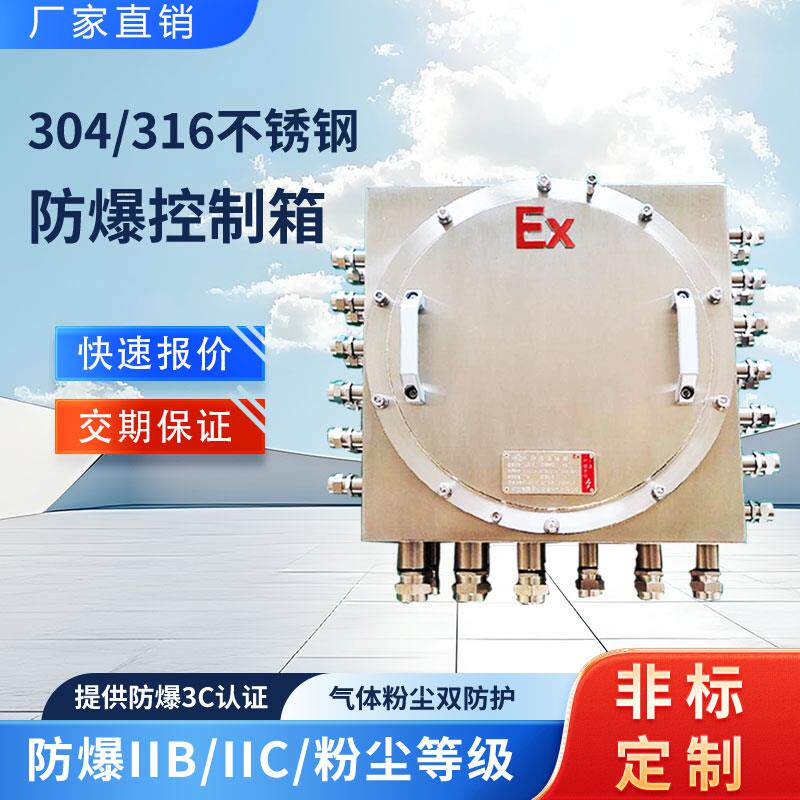 304不锈钢防爆接线箱BT4配电箱粉尘控制弱电模块箱316CT6照明开关