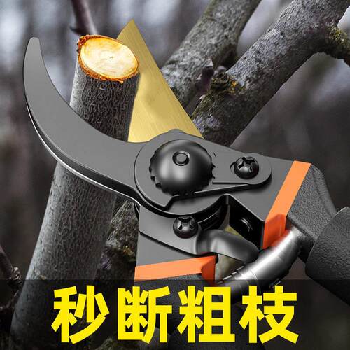 德国园艺剪刀果树修枝剪树枝专用花艺花枝剪子剪枝园林工具剪修枝