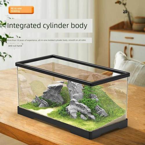 龟盒超大鱼缸家庭桌面客厅电视柜旁边的超白生态过滤深水龟缸