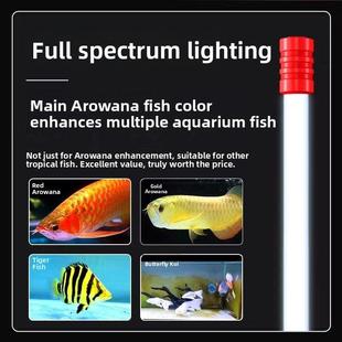 千羽12000K红龙金龙发彩灯6700专用防水鱼缸灯侧光彩色鱼饵潜水灯