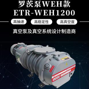 罗茨真空泵ETR-WEH1200真空干燥冷冻干燥用抽真空机