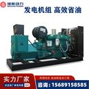 200KW柴油发电机组 三相电自动柴油发电机组 全铜无刷六角电机
