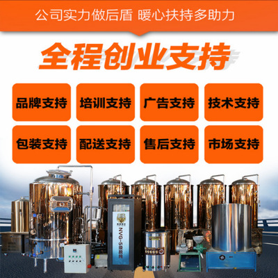 小型酿造啤酒设备 精酿啤酒发酵罐 酿造啤酒的机械 原浆分体机