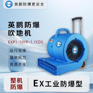 10YP 防爆吹地机EXP1 1.1CDS大功率化工厂工业车间 GYPEX 英鹏