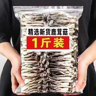 鹿茸菇净重袋新货新鲜整根香菇火锅食材鹿耳菇批发虫草煲汤250克
