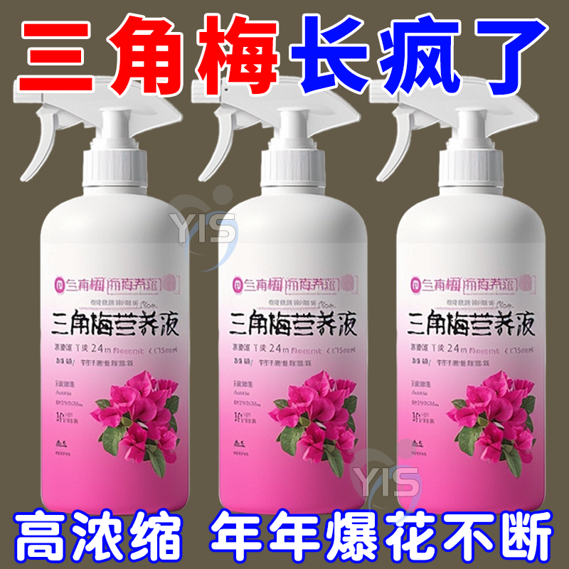 【三角梅疯长】专用营养液促开花