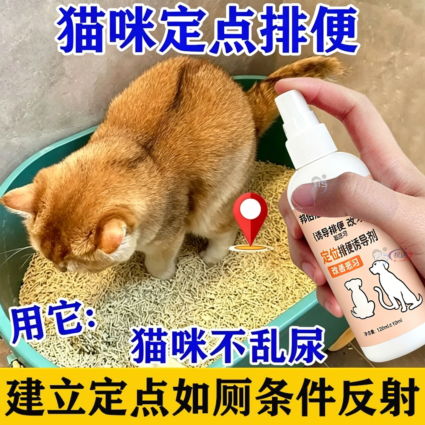 宠物排便诱导剂辅助训练定点如厕