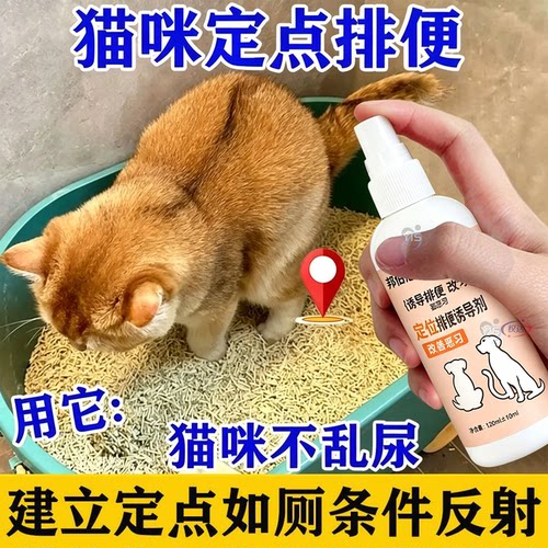 宠物排便诱导剂辅助训练定点如厕