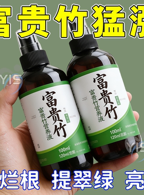 【急救】富贵竹营养液富贵竹叶子黄治黄叶叶斑病富贵竹肥料专用肥