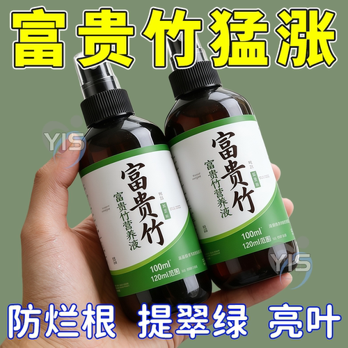 【急救】富贵竹营养液富贵竹叶子黄治黄叶叶斑病富贵竹肥料专用肥