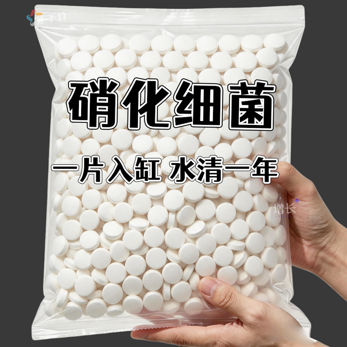 浓缩硝化菌片观赏鱼池水清澈养护