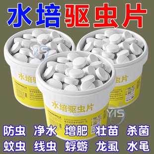 水培驱虫片富贵竹碗莲水培植物杀虫蚊子幼虫水池灭水虫园艺防虫片