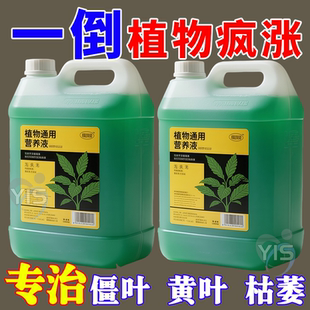 超浓缩植物营养液花肥通用化肥料家用绿植盆栽绿萝叶黄万能富贵竹