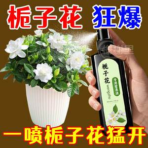 栀子花专用营养液壮根绿叶促花