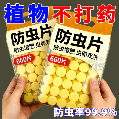 家庭园艺防虫片防小黑飞蚜虫白粉虱小菜蛾飞虫专用花卉绿植防虫袋