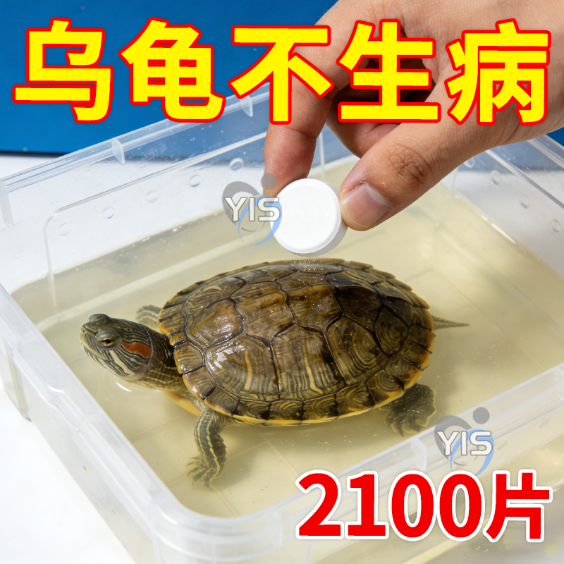 护龟片乌龟消毒片专治腐皮烂甲白眼病厌食净化水质杀菌宠物消毒液
