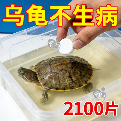 护龟片乌龟消毒片专治腐皮烂甲白眼病厌食净化水质杀菌宠物消毒液