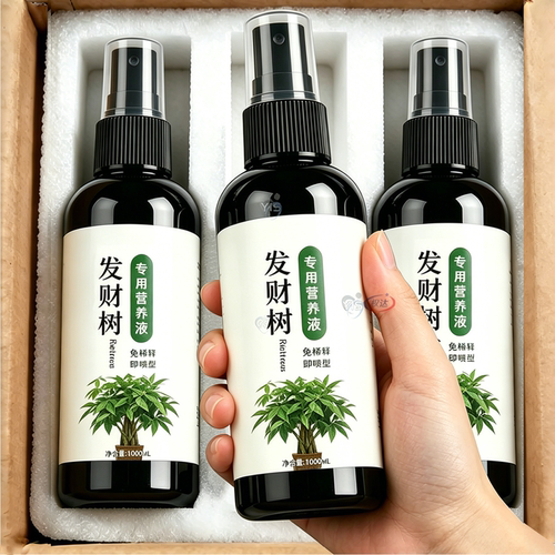 发财树营养液壮根旺枝叶片油亮