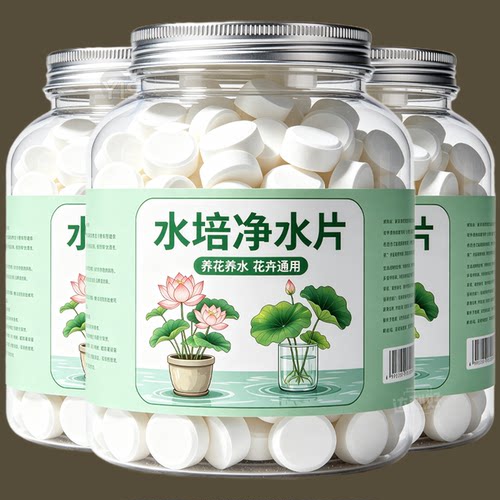 水培植物净水片除臭杀菌消毒鲜花花卉保鲜剂碗莲除藻专用净化水质