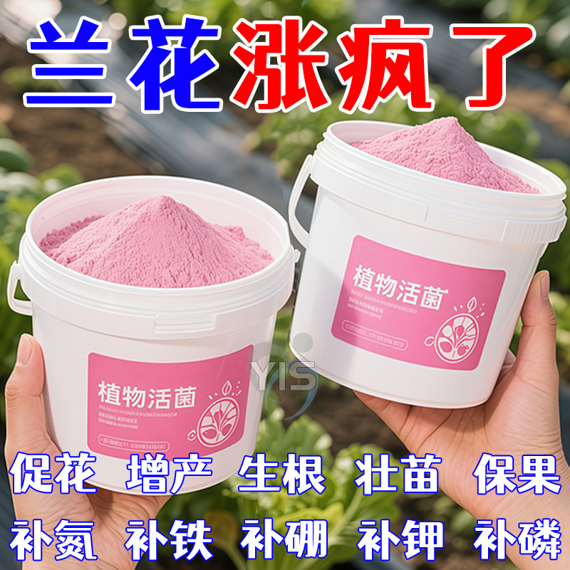 植物活菌粉兰花专用菌微生物菌剂养根壮根防烂根水溶肥兰菌粉肥料