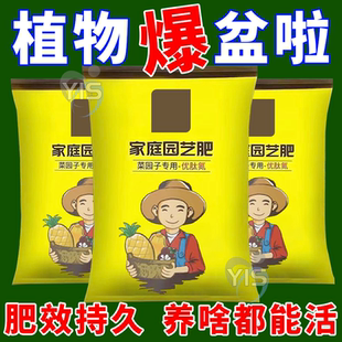 家庭园艺肥优肽氮通用型高氮肥家用养花种菜追肥营养种植肥料生长