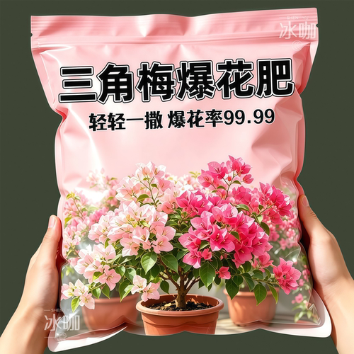 三角梅开花粉催花同时延长花期