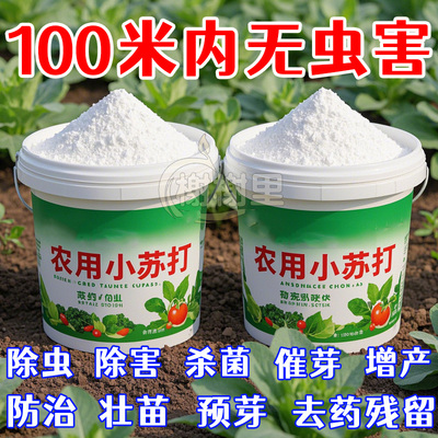 农用小苏打除菌除虫去农药残留物