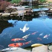 康卿小鱼池过滤器室内室外生化过滤器过滤桶过滤箱过滤外置净水器