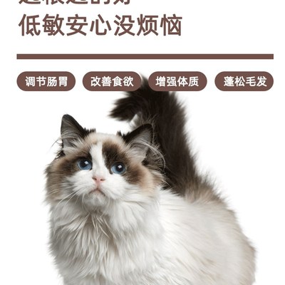 猫粮全阶段袋装通用成猫幼猫布偶田园流浪猫1斤500g增肥发腮营养